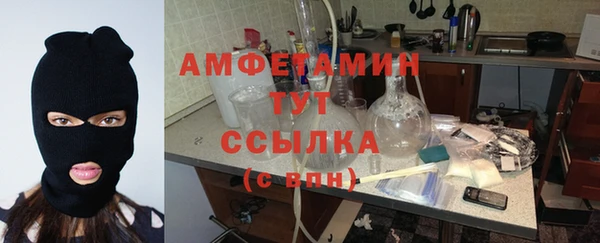 соль ск Дмитриев