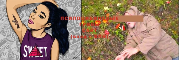 мескалин Горняк