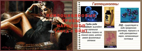 спиды Горнозаводск